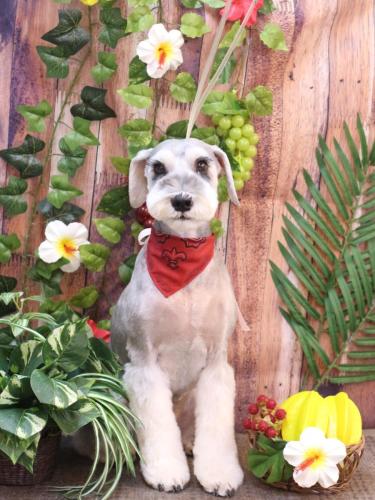 20230806リクくん